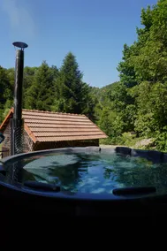 Diana Moneasa Vacation House - Image 3