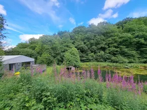 Utterly Secluded Romantic Retreat Nature & Hot Tub - Image 4