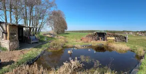 Time out surrounded by nature - It's a kind of magic - Image 2