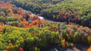 Family Cabin- The Happy Hideout w/ River - Image 5