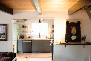 Wilder Scott | A Collected Cabin • NEW Hot Tub - Image 5
