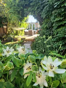 The Hideaway: Serene Garden, Sun terrace & Parking - Image 2