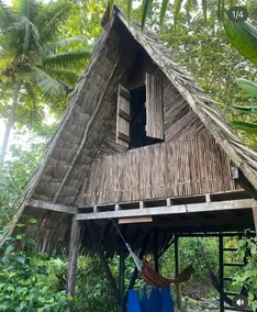 Chigua, Artisanal Cabin in the Jungle - Image 2