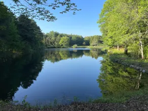 Glamping at White Clover Farm: Loggers Lodge - Image 4