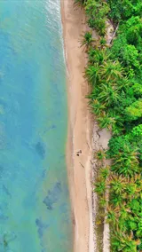 Beachfront House at La Vida Resort - Image 4