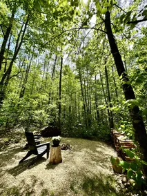 Cozy Trailside Nordic Forest Cottage - Image 5