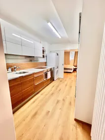 4 mins walk Thalwil Station, Free Parking, Historical - Image 2