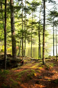 Sauna+Near Beach+Pond+Outdoor Shower+Fire Pit - Image 4