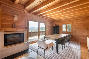 Toison D'or - 8 pers - Jacuzzi sauna - Image 5