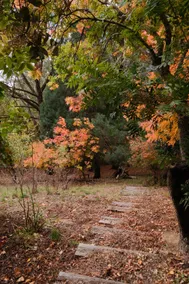 Juniper Grove • Adelaide Hills Log Cabin - Image 5