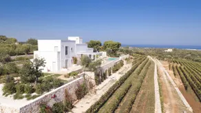 TD Tenuta Donna Madia Sea View Pool Over Vineyard - Image 3