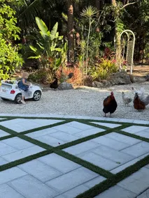 Luxury Naples: Pool, Gym, Sauna & Pickleball - Image 5