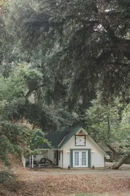 Pine Cone Cottage in Oak Glen - Image 3