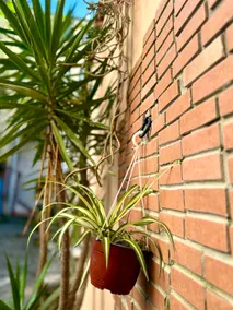 Vacation home Hippocampus - Image 5