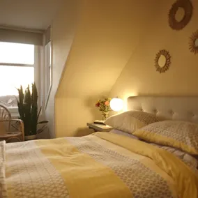 The Velvet Nest - Image 2