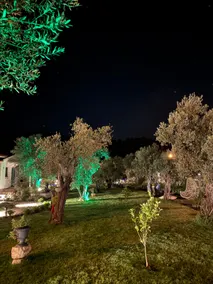 Lovely Homes Orhaniye 1 @sevimlievlerorhaniye - Image 5