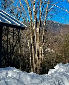 Brand New Mountain Chalet - Image 3
