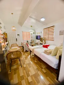 Olango Island - S&E-1 Tiny Guest House Fully Furnished with Hot Shower, Washer, Wi-Fi, Netflix & King-size Bed - Image 4