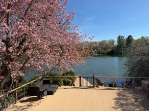 Lakefront Cedar Sauna | Dock | Balcony | Fire pit - Image 3