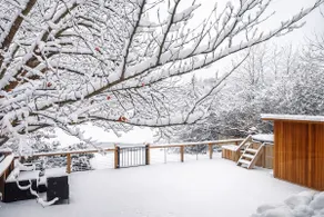 Lakefront Cedar Sauna | Dock | Balcony | Fire pit - Image 4