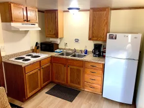 The Benzonia Rustic Resort Blue Jay Cottage - Image 4