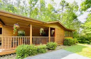 Smoky Mountain 3BR Cabin Firepit Grill Sleeps 10 - Image 2