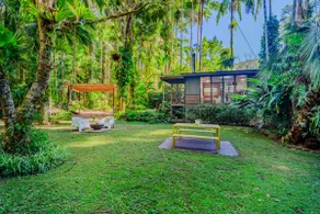 Modern Eco Cabin surrounded in Rainforest - Image 4