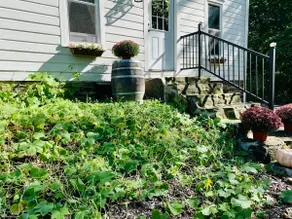 The Guest House at Peach Orchard - Image 3
