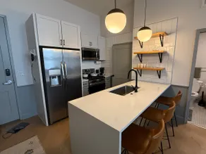 Luxury 1 BR Apt on Morris Avenue - Image 4