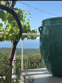 Panoramic villa overlooking olive groves and the sea in Vuno - Image 3