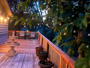 Nature Lover's Lodge : Fast Internet Included - Image 3