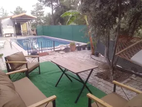 The magic of pine and olive trees in Fethiye is super - Image 4