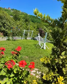 Your Home in Nature - Image 3