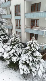 A green and peaceful apartment - Image 3