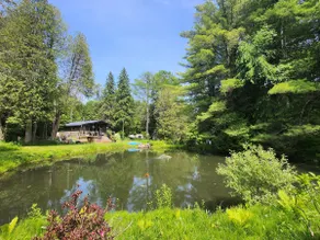 Yozy Forest: Hot Tub & Private Pond | 45m from GTA - Image 2