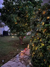 Garden house - Image 2