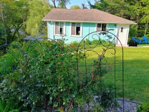 Randi's Blue Cabin in Grand Mere - Image 2