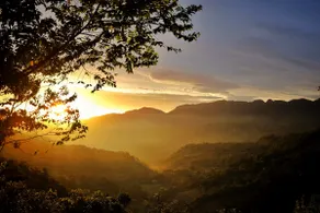 Casa del Aire, your home in the Cloud Forest. - Image 2