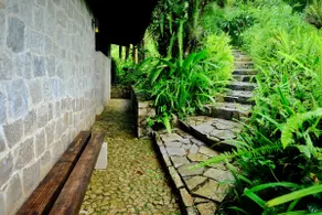 Casa del Aire, your home in the Cloud Forest. - Image 3