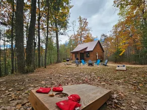 Up North Lakefront Cabin | Kayak Fish Pets Welcome - Image 5