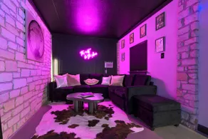Heart of Austin 3 BR Home + Bonus Karaoke/TV Room - Image 3