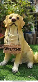 A joyful, warm and comfortable inn, Welcome - Image 3