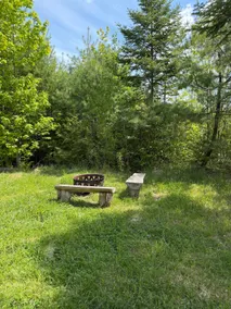 The “Fox” Cabin - Image 2