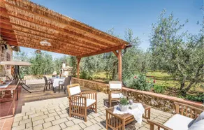 Hillock with olive trees - Image 4