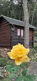 A hideaway in Mantiqueira. - Image 2