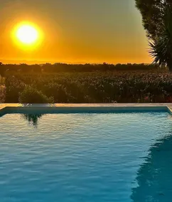 Fonte Freixo, em Borba, Alentejo - Image 3
