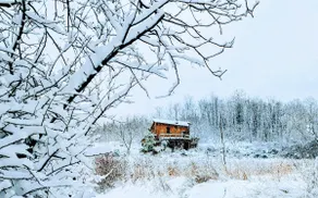 Viveka: Spiritual Retreat, Eco Cabin & Digital Detox - Image 4