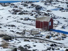 Eli's Place /located in historic Bonavista NL - Image 5