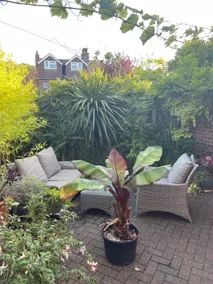 Avenue_1Barnes - Image 5