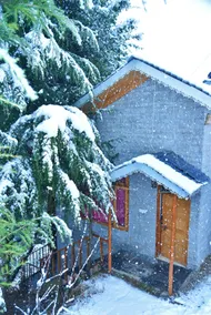 tree cottage hot water jibhi charming view retreat - Image 2
